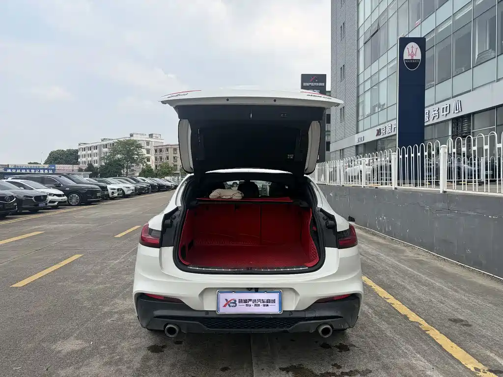 BMW X4 — миниатюра 6