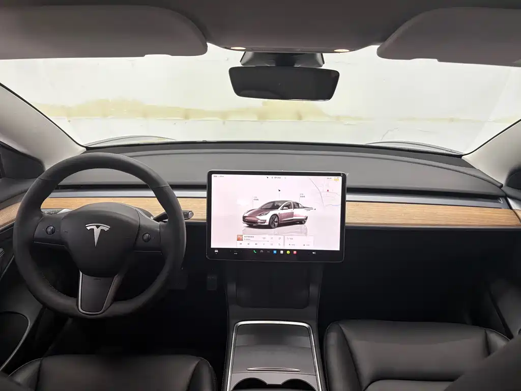 Tesla Model 3 — миниатюра 11