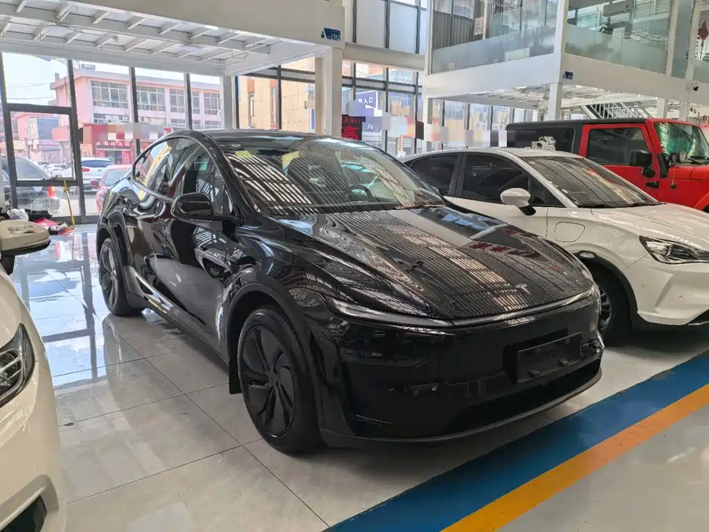 Tesla Model Y — миниатюра 4