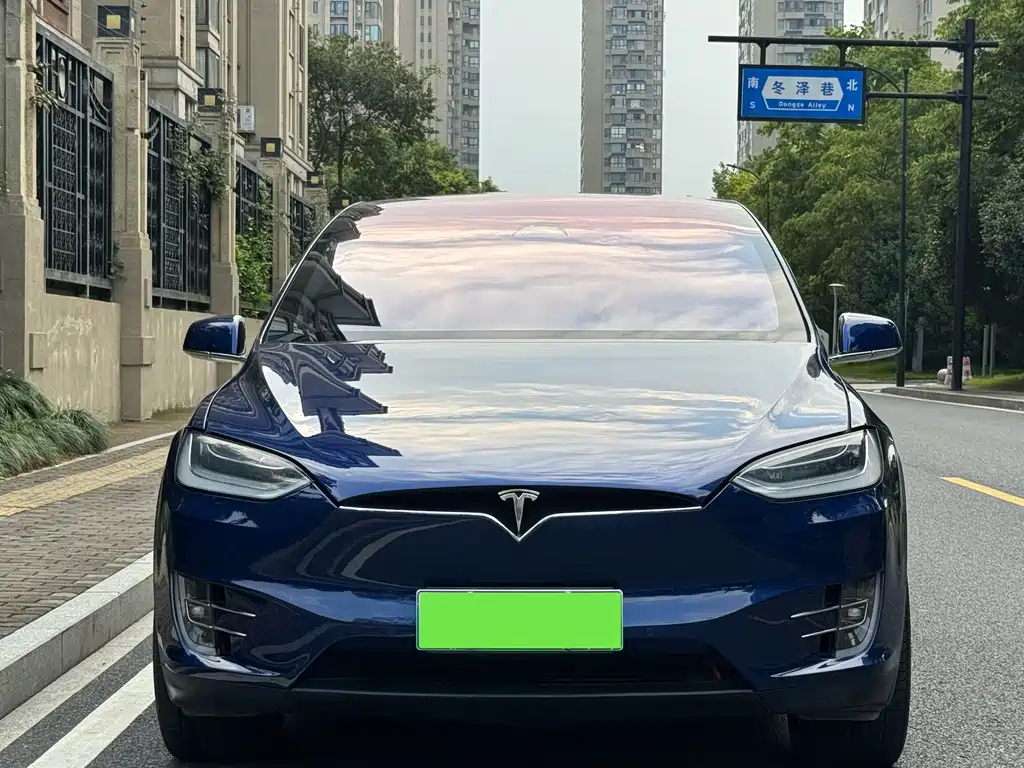 Tesla Model X — миниатюра 3