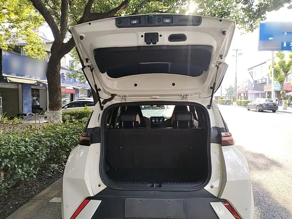 BYD Seagull — миниатюра 19