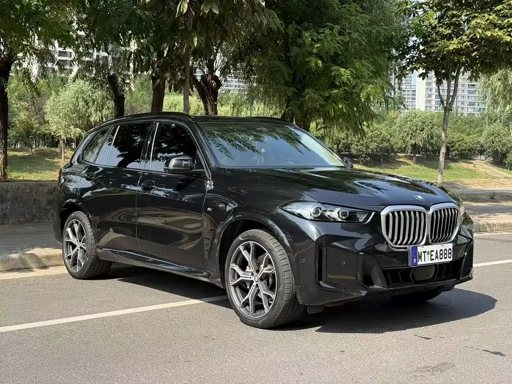 BMW X5 — миниатюра 3