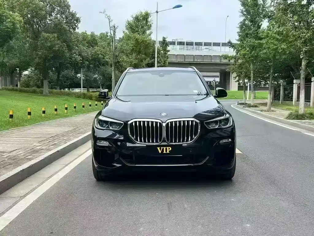 BMW X5 (Import) — миниатюра 2
