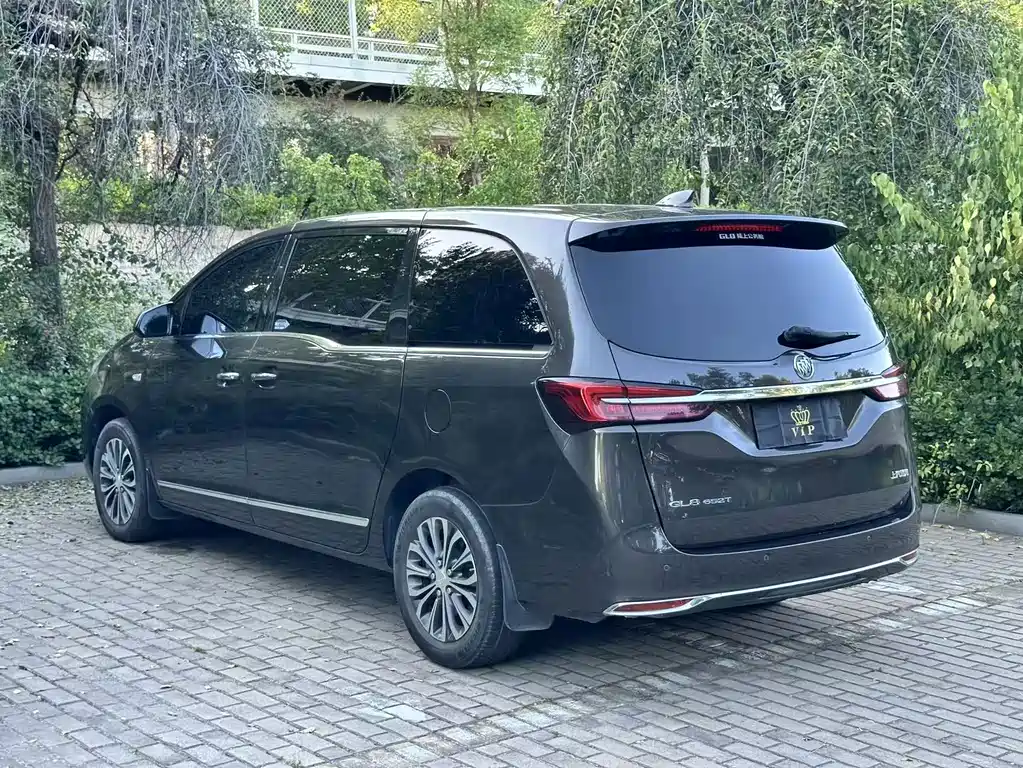 Buick GL8 — миниатюра 10