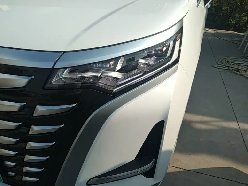 Denza Denza D9 — миниатюра 24
