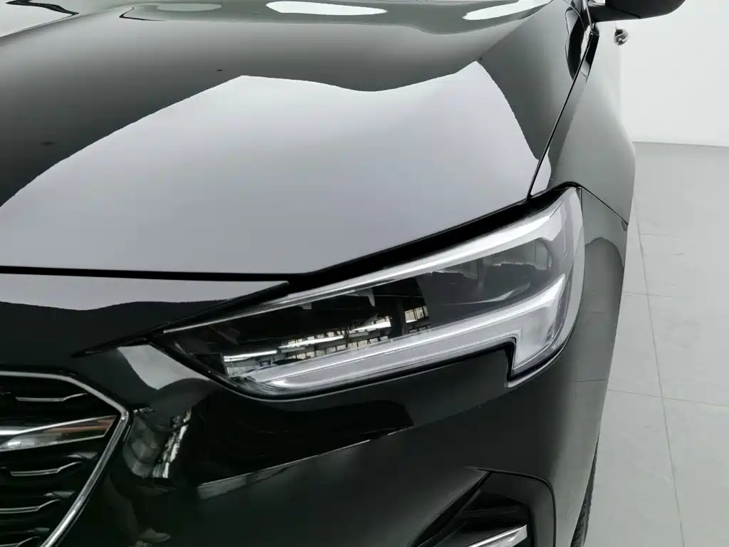 Buick Regal — миниатюра 7
