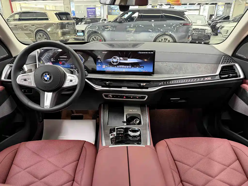 BMW X5 — миниатюра 6