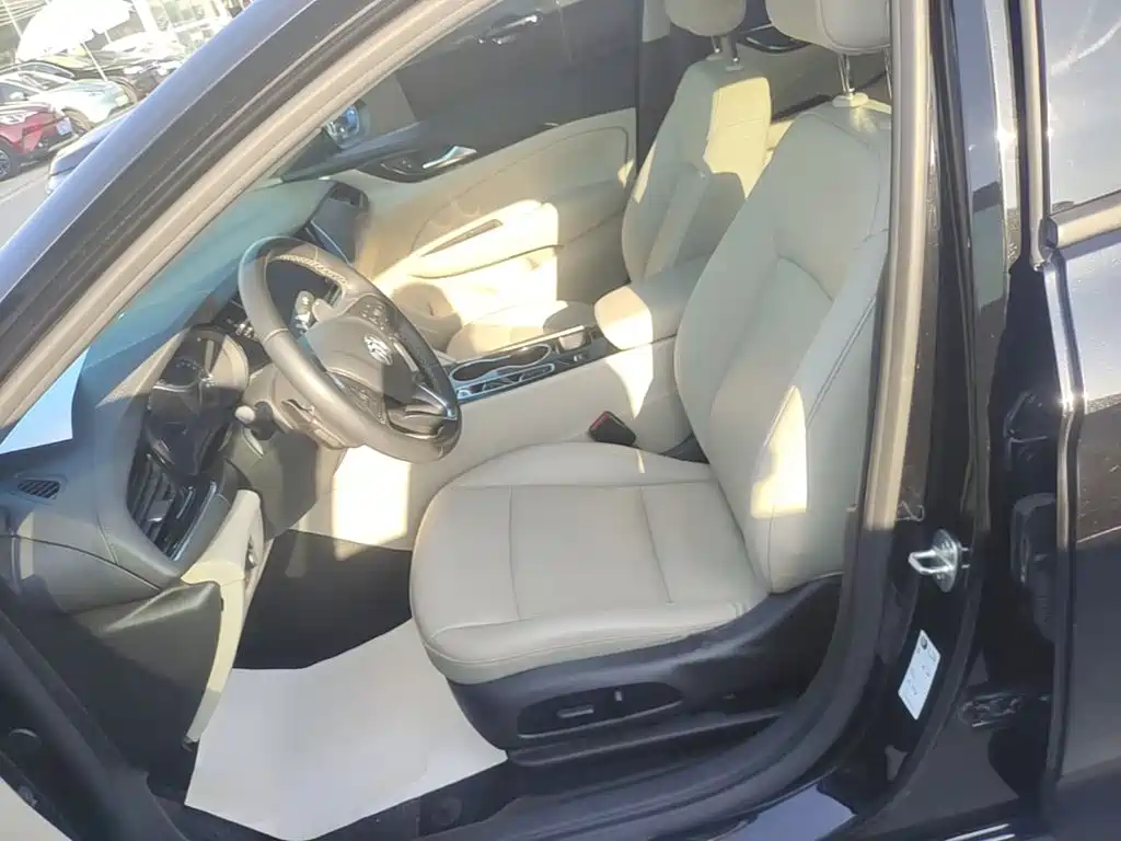 Buick Regal — миниатюра 15