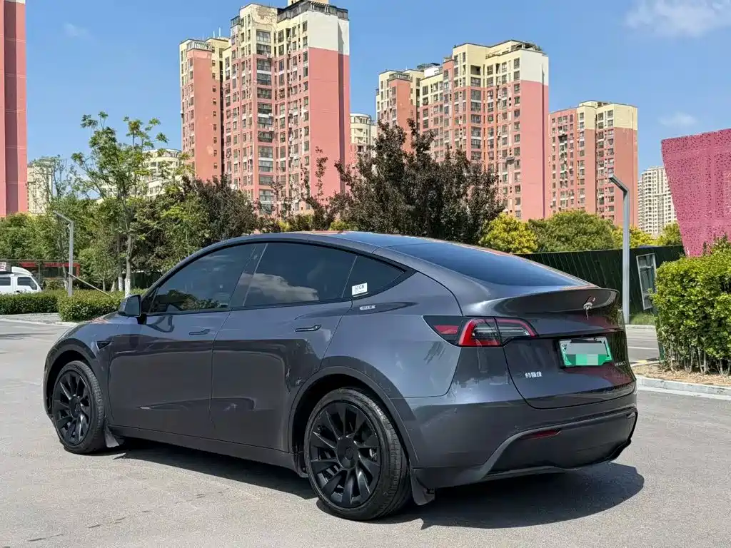 Tesla Model Y — миниатюра 3