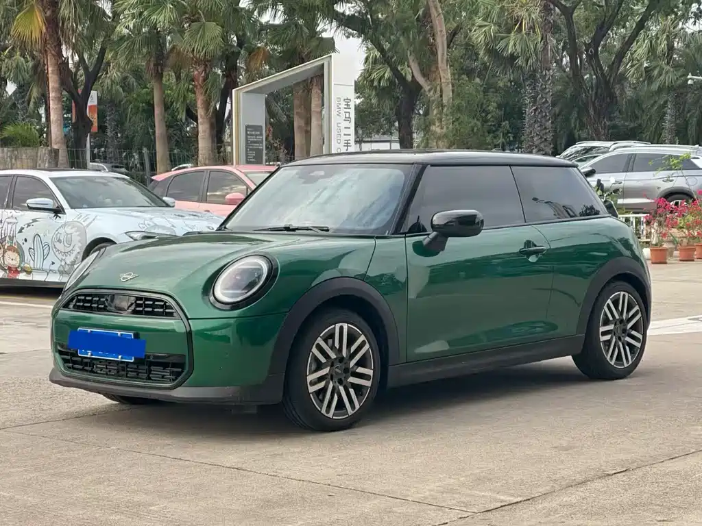 Mini Mini 2025