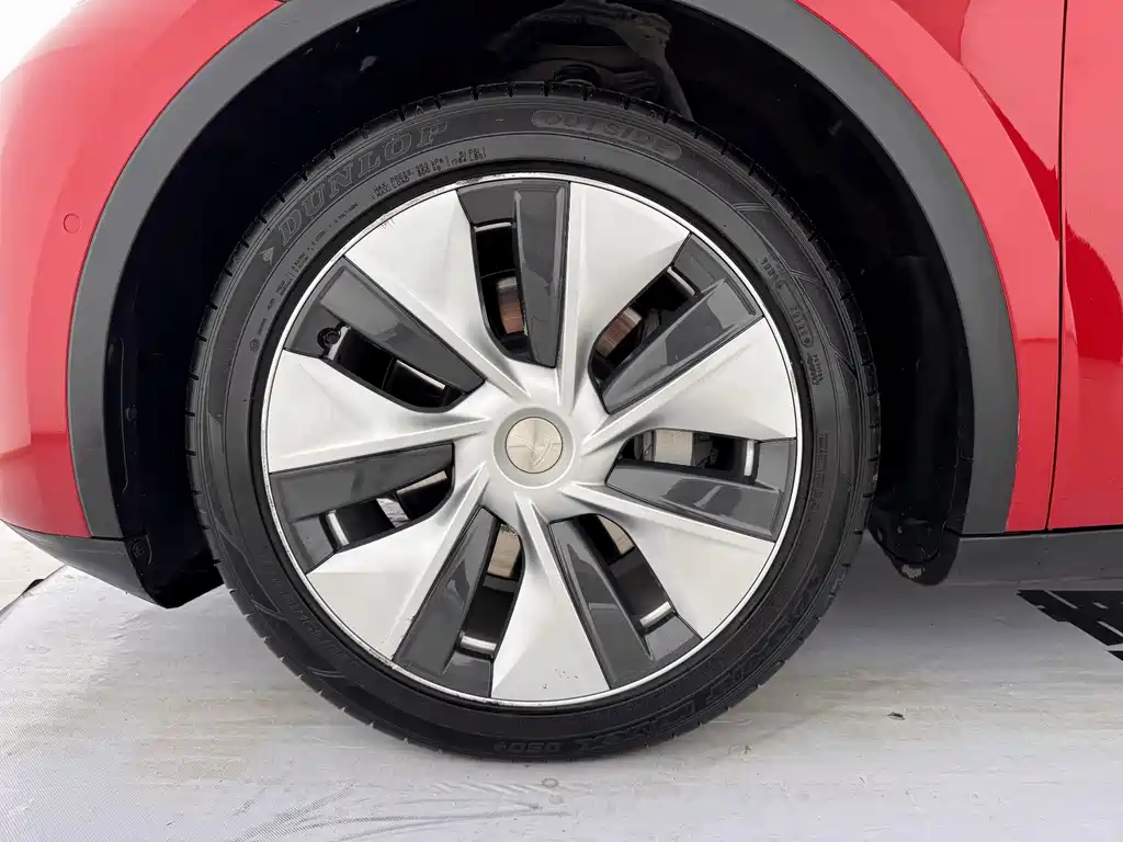 Tesla Model Y — миниатюра 11