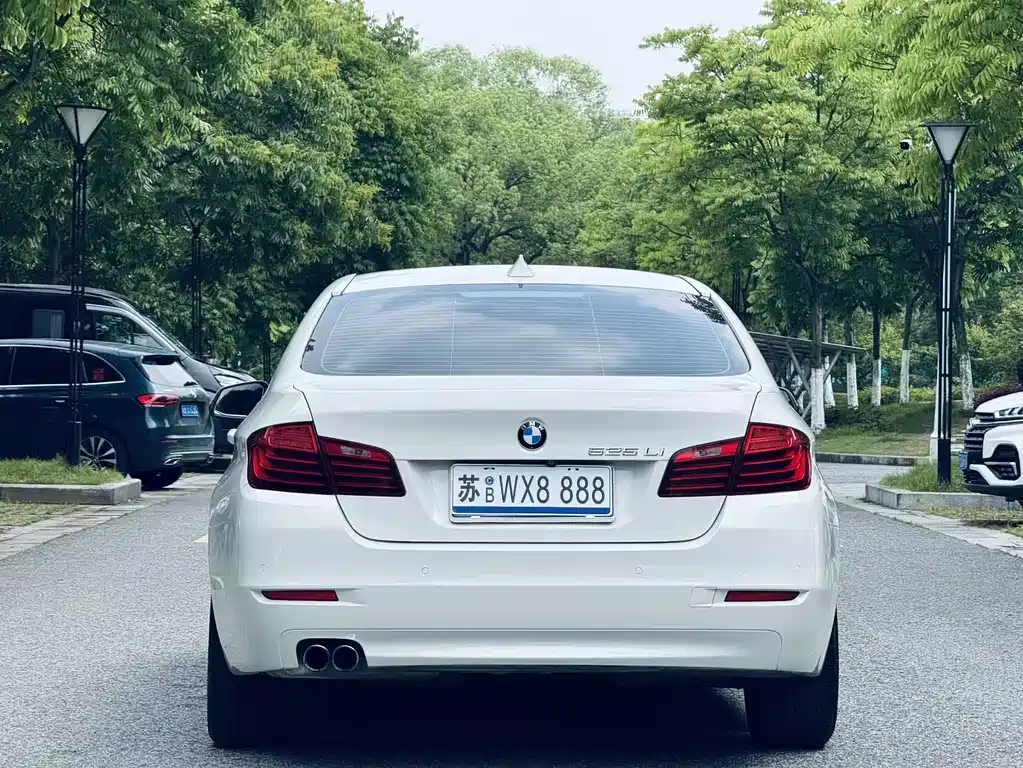 BMW 5 Series 5 2013 525Li Lead