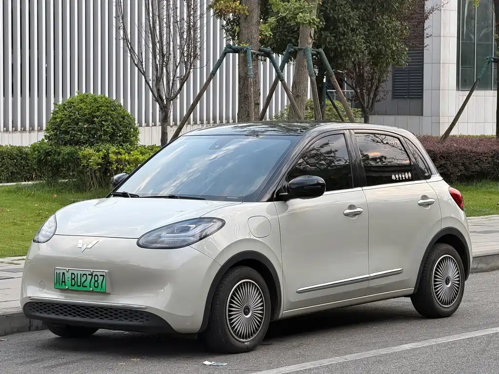 Wuling Bingo