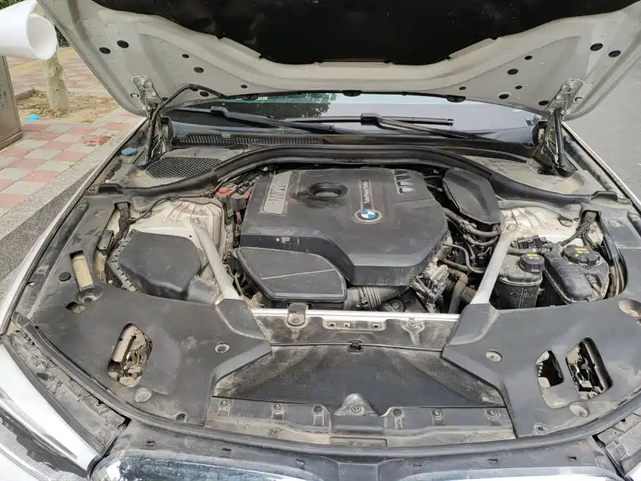 BMW 5 Series 5 2018 530Li Premium Luxury