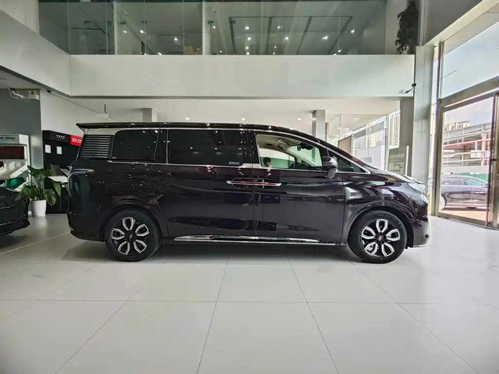 Hongqi Hongqi HQ9 — миниатюра 3