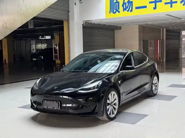 TESLA MODEL 3 2020
