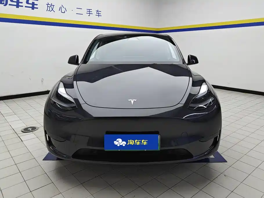 Tesla Model Y — миниатюра 2