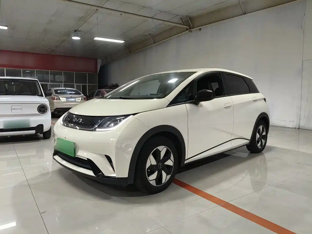 BYD Dolphin — миниатюра 2