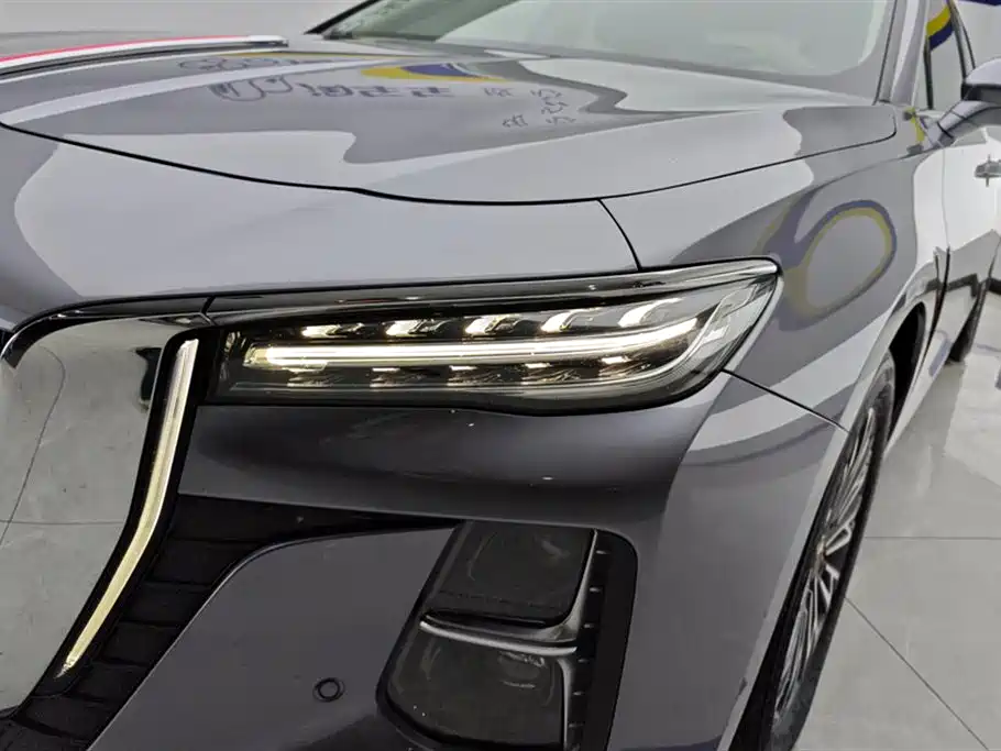 Hongqi H5 2023 2.0T AT