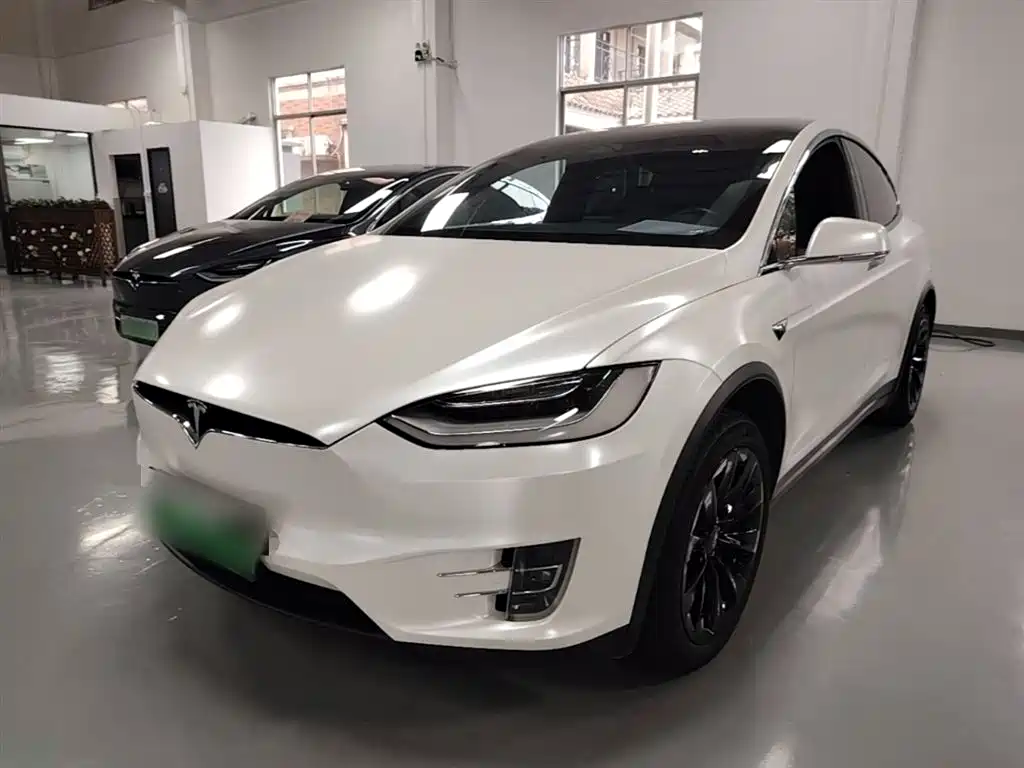 Tesla Model X 2019