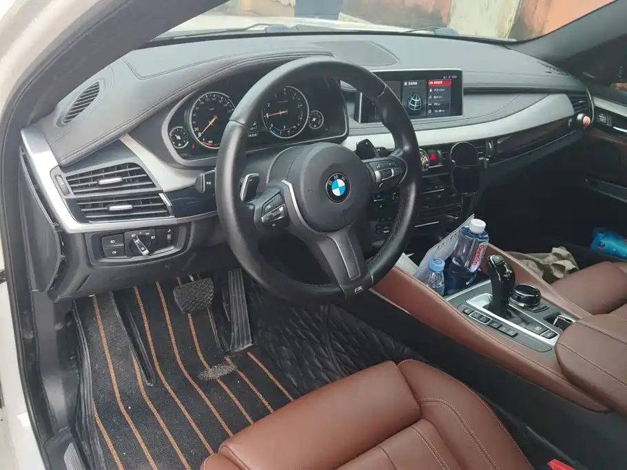 BMW X6 — миниатюра 12