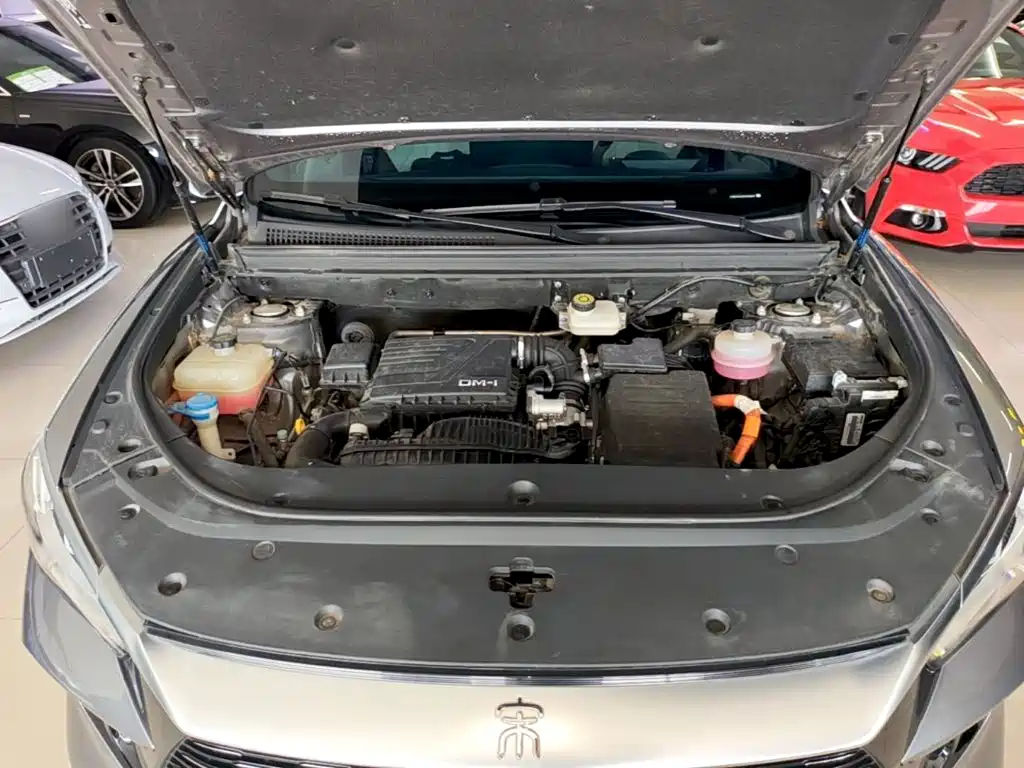 BYD Pro New Energy — миниатюра 20