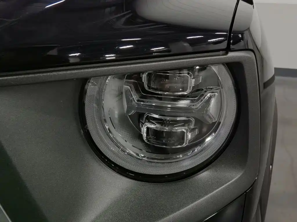 Haval Big Dog PLUS — миниатюра 7