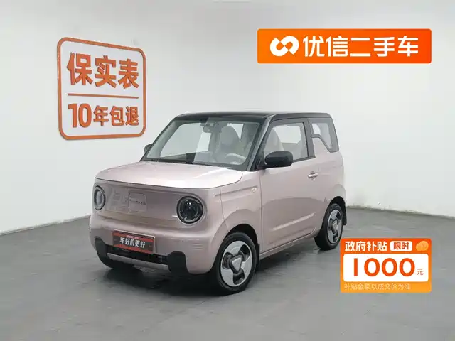 GEELY GALAXY PANDA 2023