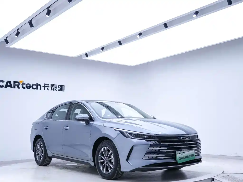 BYD Destroyer 05 2024 DM-i 55KM Luxury