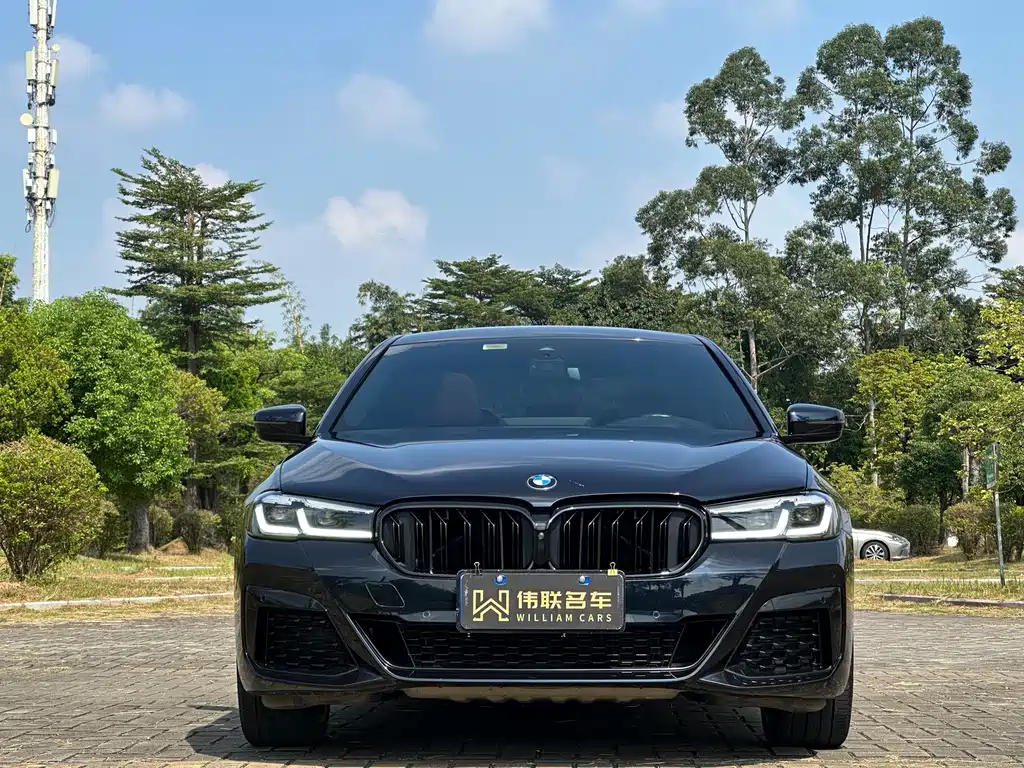 BMW 5 Series — миниатюра 2