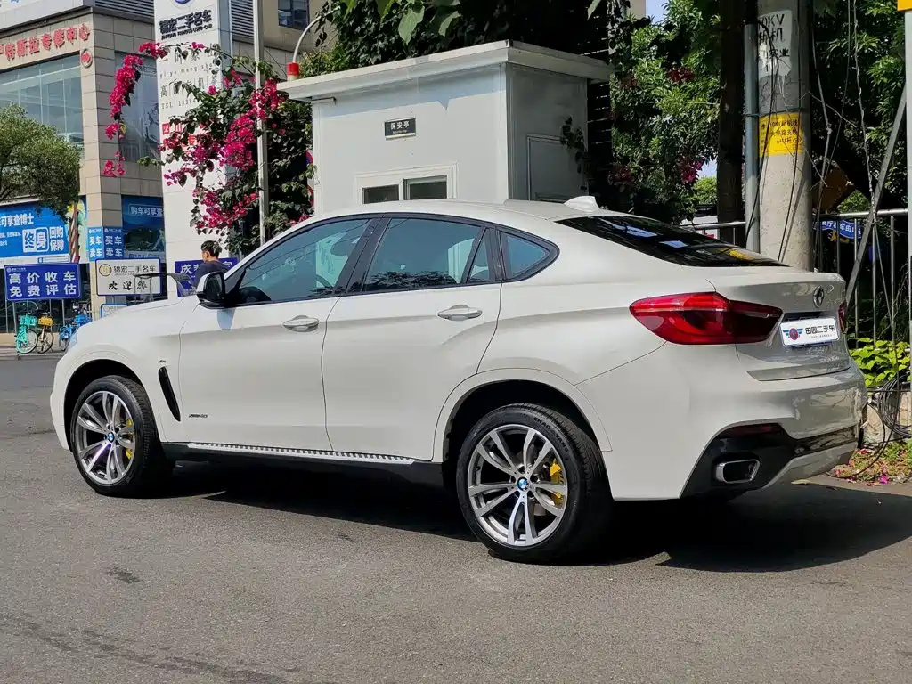 BMW X6 — миниатюра 4
