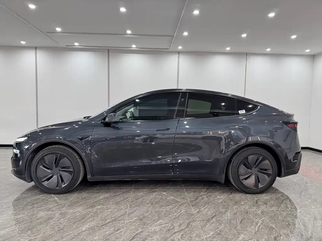 Tesla Model Y — миниатюра 4
