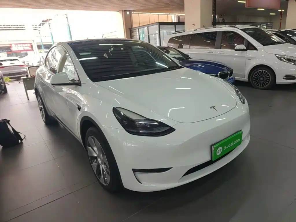 Tesla Model Y — миниатюра 4