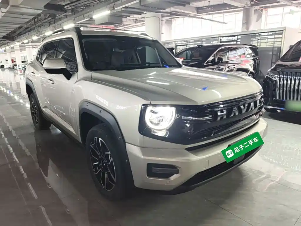 Haval Big Dog PLUS New Energy — миниатюра 4