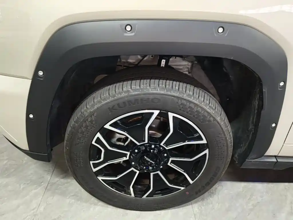 Haval Big Dog PLUS New Energy — миниатюра 23