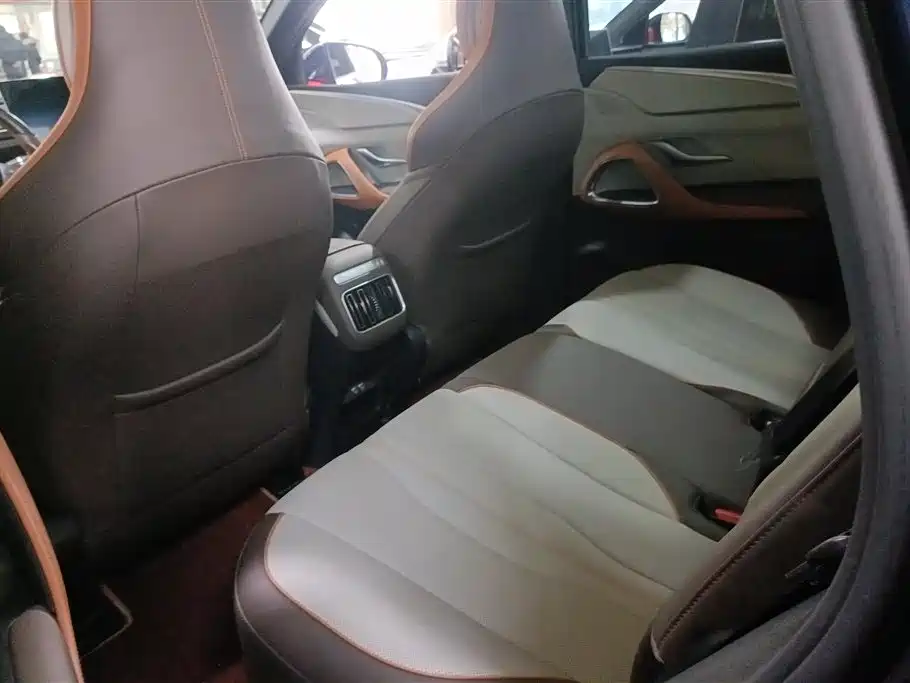 BYD SONGJIANG NEW ENERGY