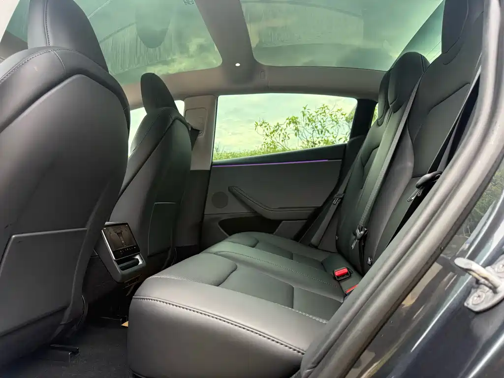 Tesla Model 3 — миниатюра 8