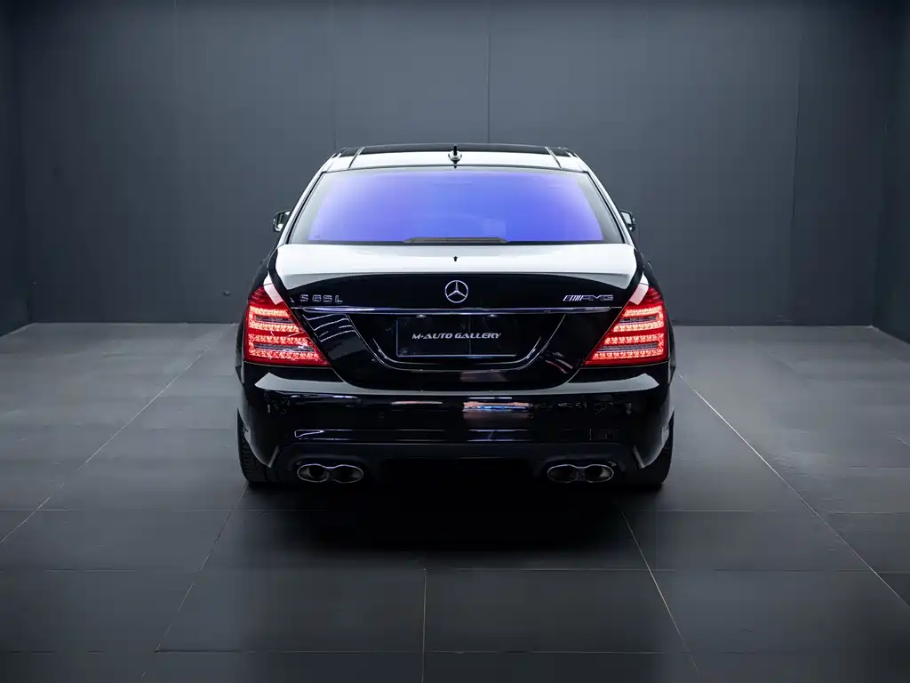 Mercedes-Benz S-Class AMG AMG S 65 L Grand Edition, фото 9