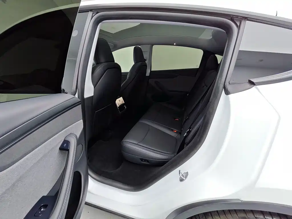 Tesla Model Y — миниатюра 10