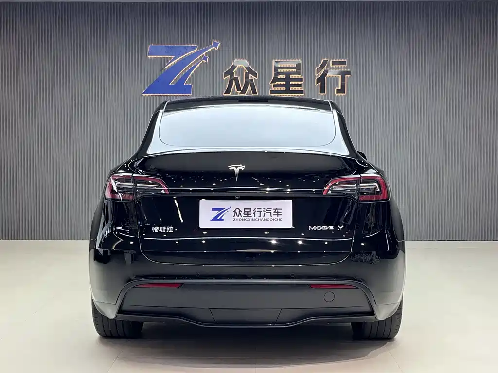 Tesla Model Y — миниатюра 3