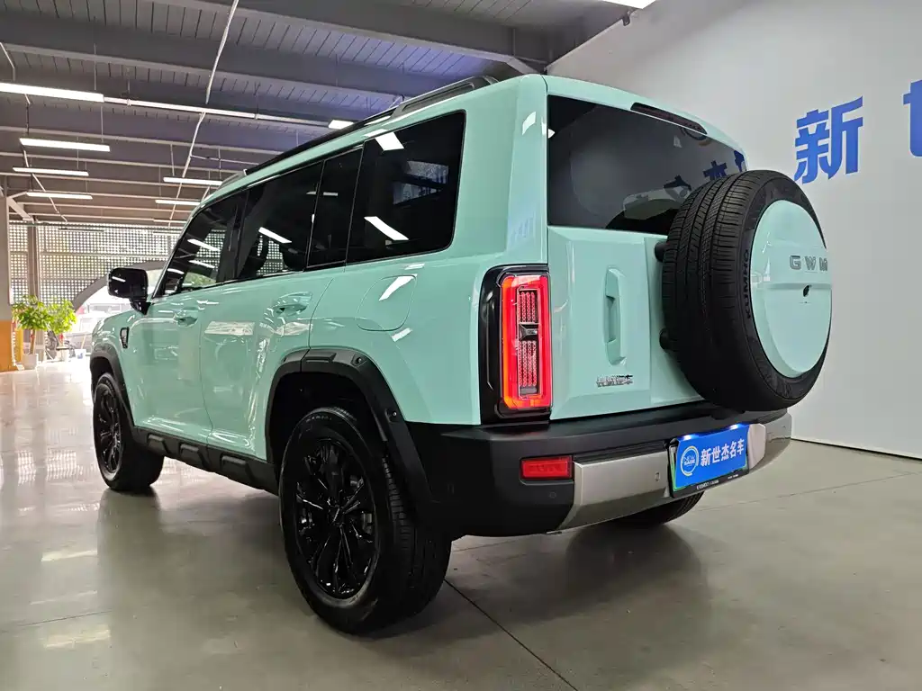 Haval Menglong New Energy — миниатюра 17