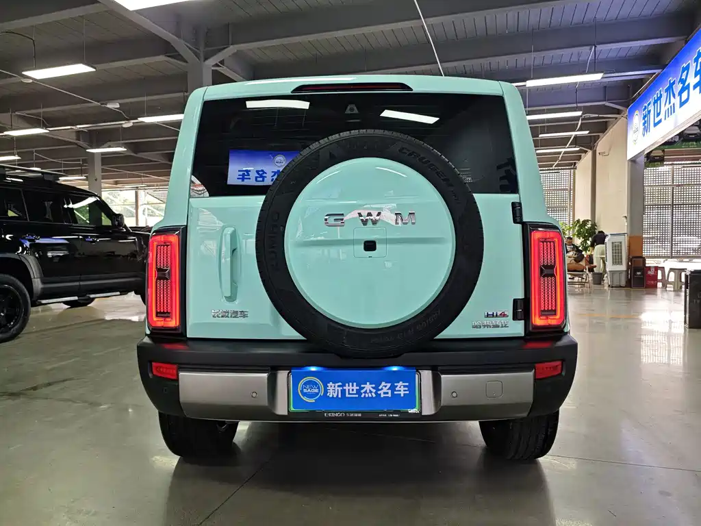 Haval Menglong New Energy — миниатюра 16