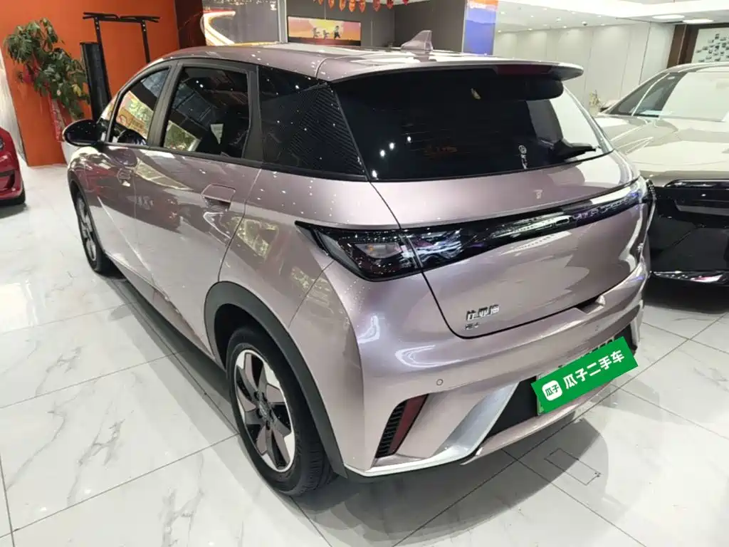 BYD Dolphin — миниатюра 5