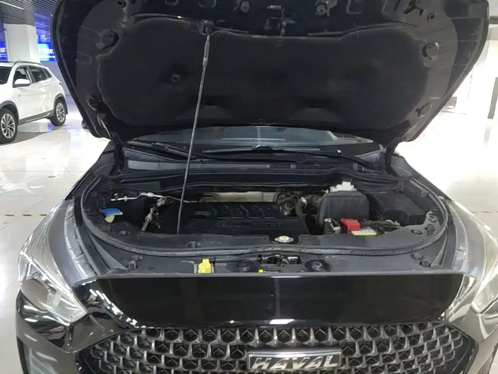 Haval M6 — миниатюра 20