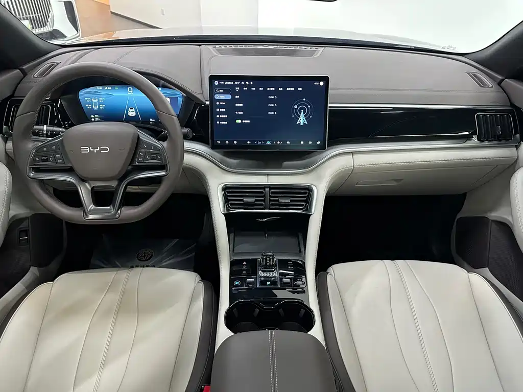 BYD PLUS New Energy — миниатюра 19