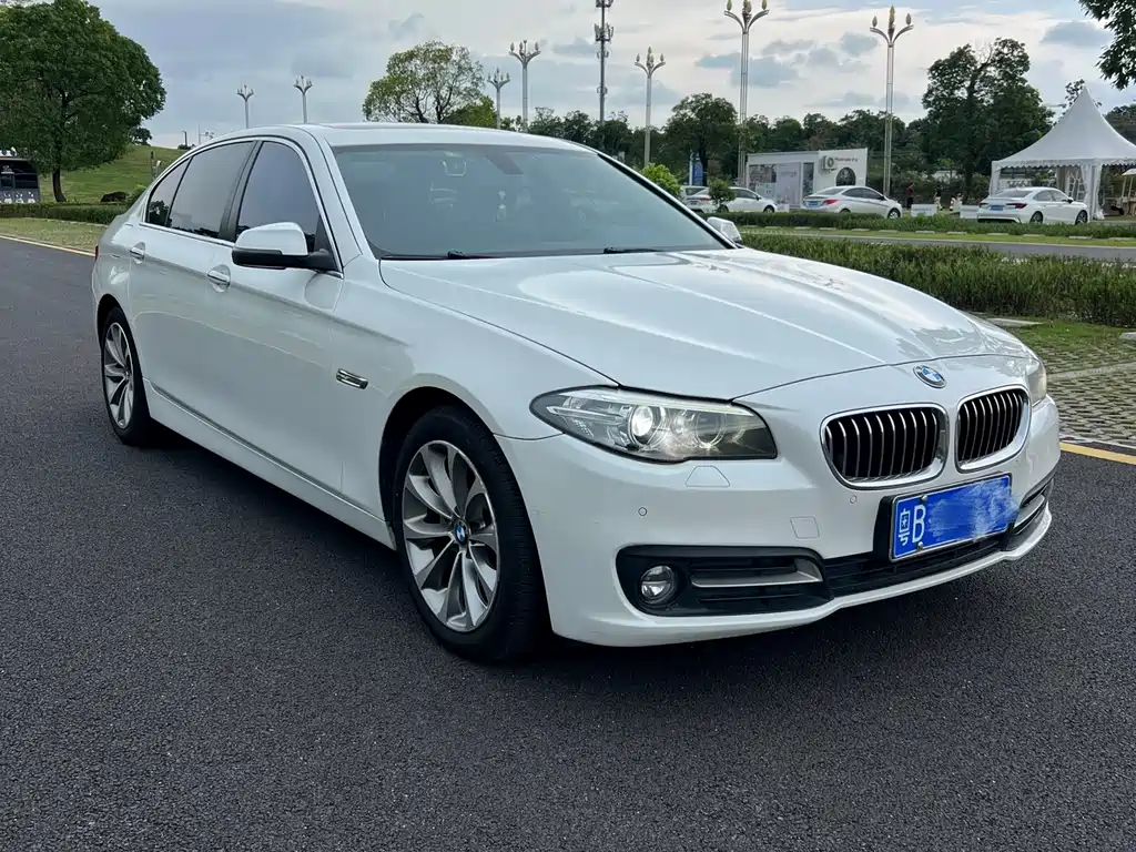 BMW 5 Series 5 2017 525Li Lead