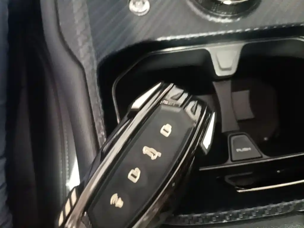 Haval Big Dog PLUS — миниатюра 9