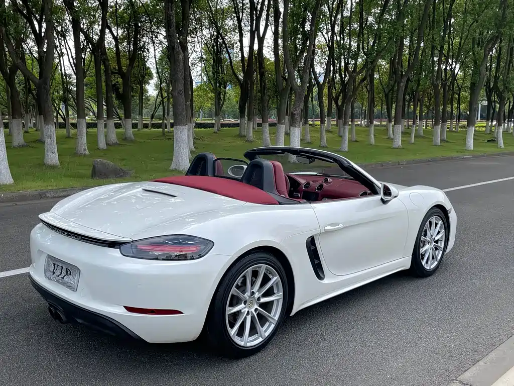 Porsche 718 — миниатюра 27