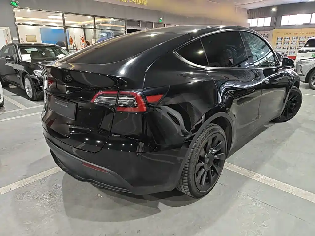 Tesla Model Y — миниатюра 7