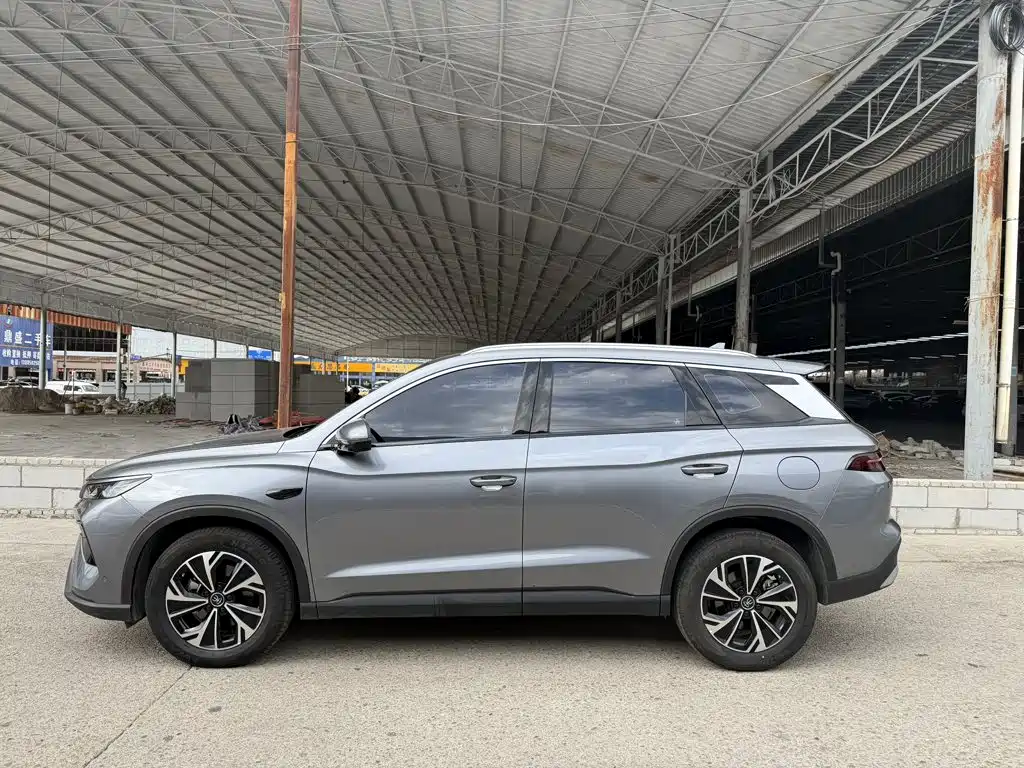 BYD Pro New Energy — миниатюра 8